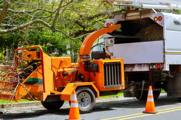 Best Tree Mulching Services  in Brookville, PA